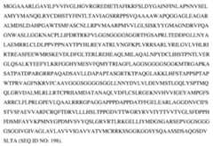 Figure imgf000324_0001