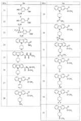 Figure 112009054559348-PCT00024