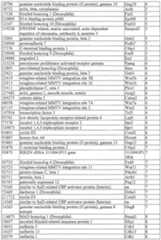 Figure imgf000065_0001