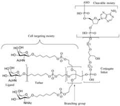 Figure imgf000010_0001