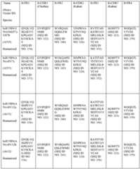 Figure imgf000497_0001