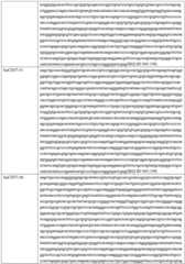 Figure GDA0002332994560000751