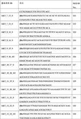 Figure BDA0000059233380000621