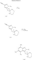 Figure US07943636-20110517-C00037