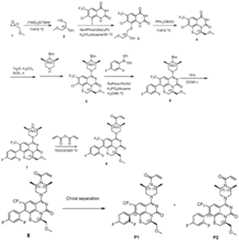 Figure imgf000311_0001