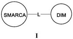 Figure FDA0003783300820000062