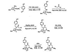 Figure 108131375-A0202-12-0214-814