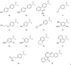 Figure FDA0003952409680000011