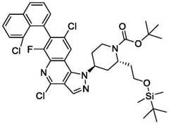 Figure BDA0003993773060003122