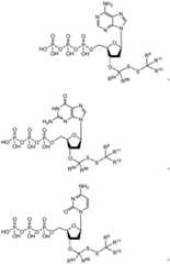 Figure BDA0003670511740003421