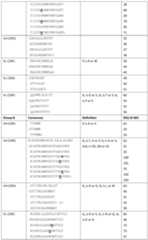 Figure PCTCN2022141410-appb-000007