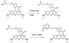 Figure imgf000063_0001