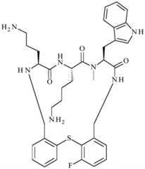 Figure BDA0001640213710003631