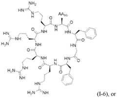 Figure imgf000013_0001