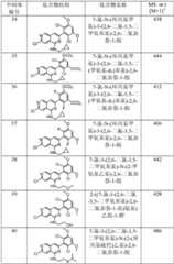 Figure GPA0000263212130000851