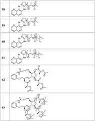 Figure BDA0002268634580002581