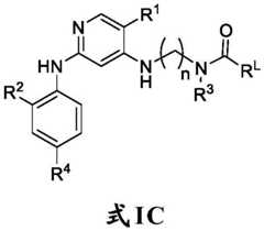 Figure FDA0003508720780000111