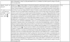 Figure imgf000088_0001