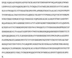 Figure 112104291-A0202-12-0137-142