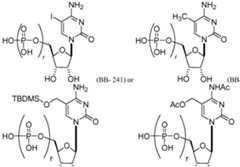 Figure imgf000090_0001