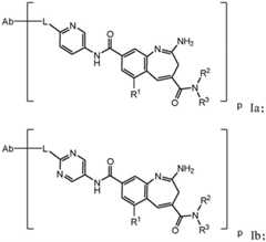 Figure BDA0003652151060000841