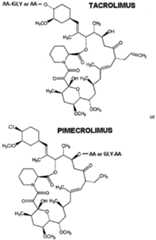 Figure imgf000194_0001
