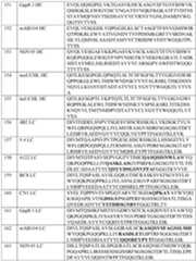 Figure imgf000115_0001