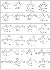 Figure 0006990229000025