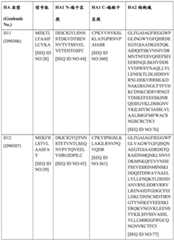 Figure BDA0004089703340001341