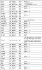 Figure BDA0002159872460000151