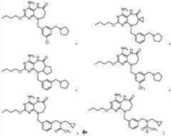 Figure FDA0000392638810000211