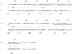 Figure BDA0004113341620000652