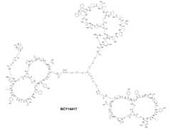 Figure 0007704732000196