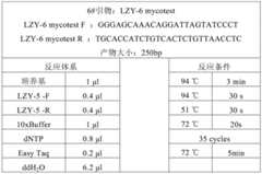 Figure BDA0000516324230000191