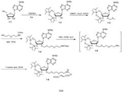 Figure imgf000167_0001