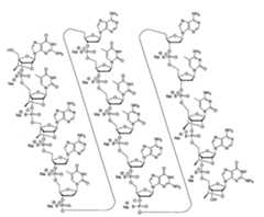 Figure 108131991-A0202-12-0030-12