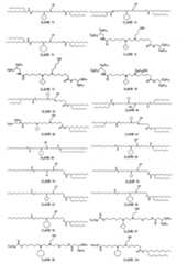 Figure 111101514-A0305-13-0010-302