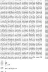 Figure IDA0002536600790000681