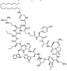 Figure imgf000248_0001