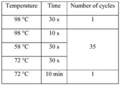 Figure imgf000050_0001