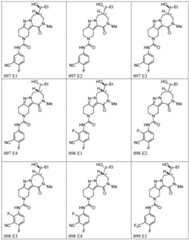 Figure BDA0001979965430002801