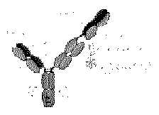 Figure imgf000176_0001