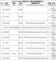 Figure BDA0003117691830001071