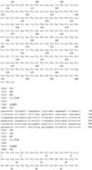 Figure IDA0002889616280000881