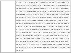 Figure BDA0002742983620000141