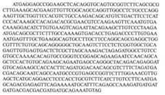 Figure 108140278-A0101-12-0017-3