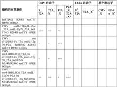 Figure GDA0004138988600002071