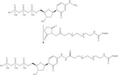 Figure US08618265-20131231-C00240