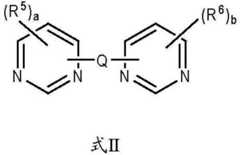 Figure DDA00003356338500012