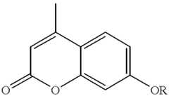 Figure US06280926-20010828-C00023